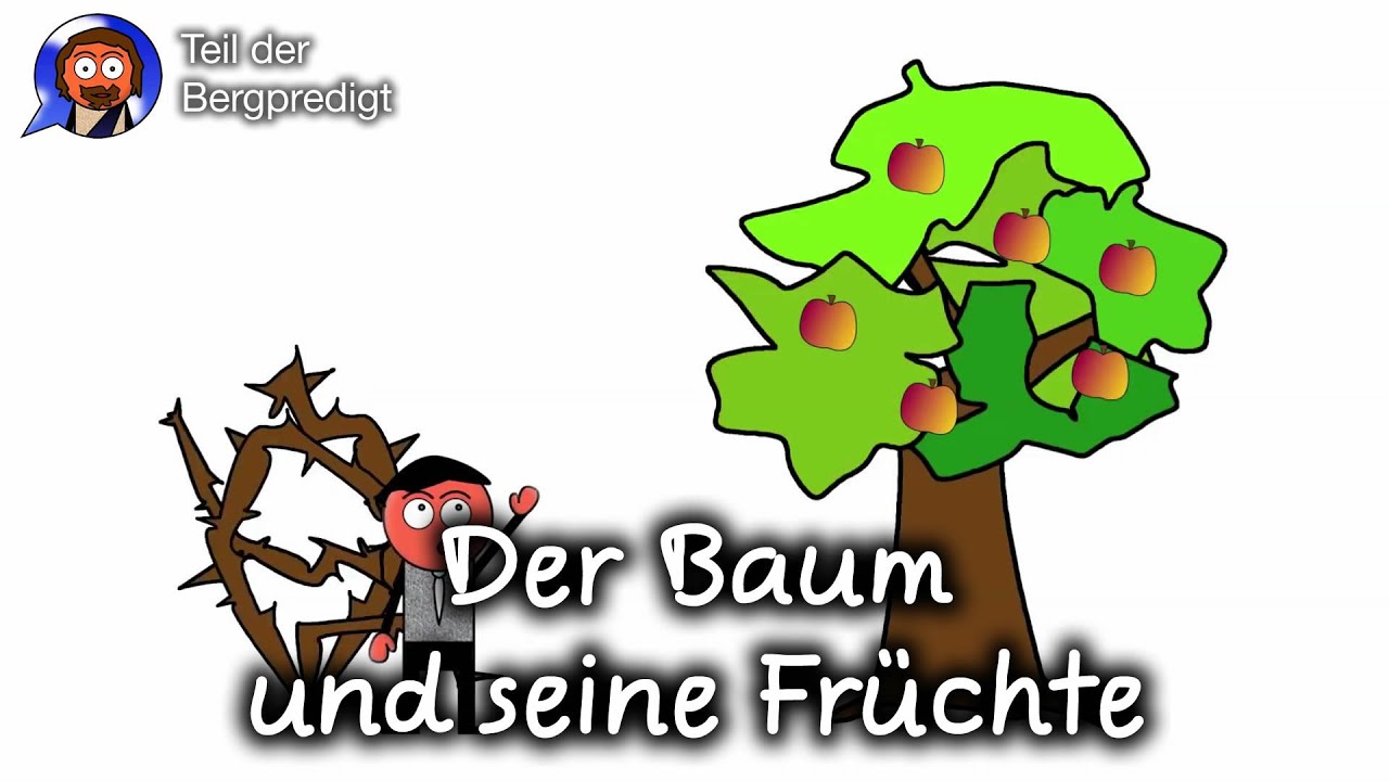 Der Baum und seine Früchte (Bergpredigt Teil 12)
