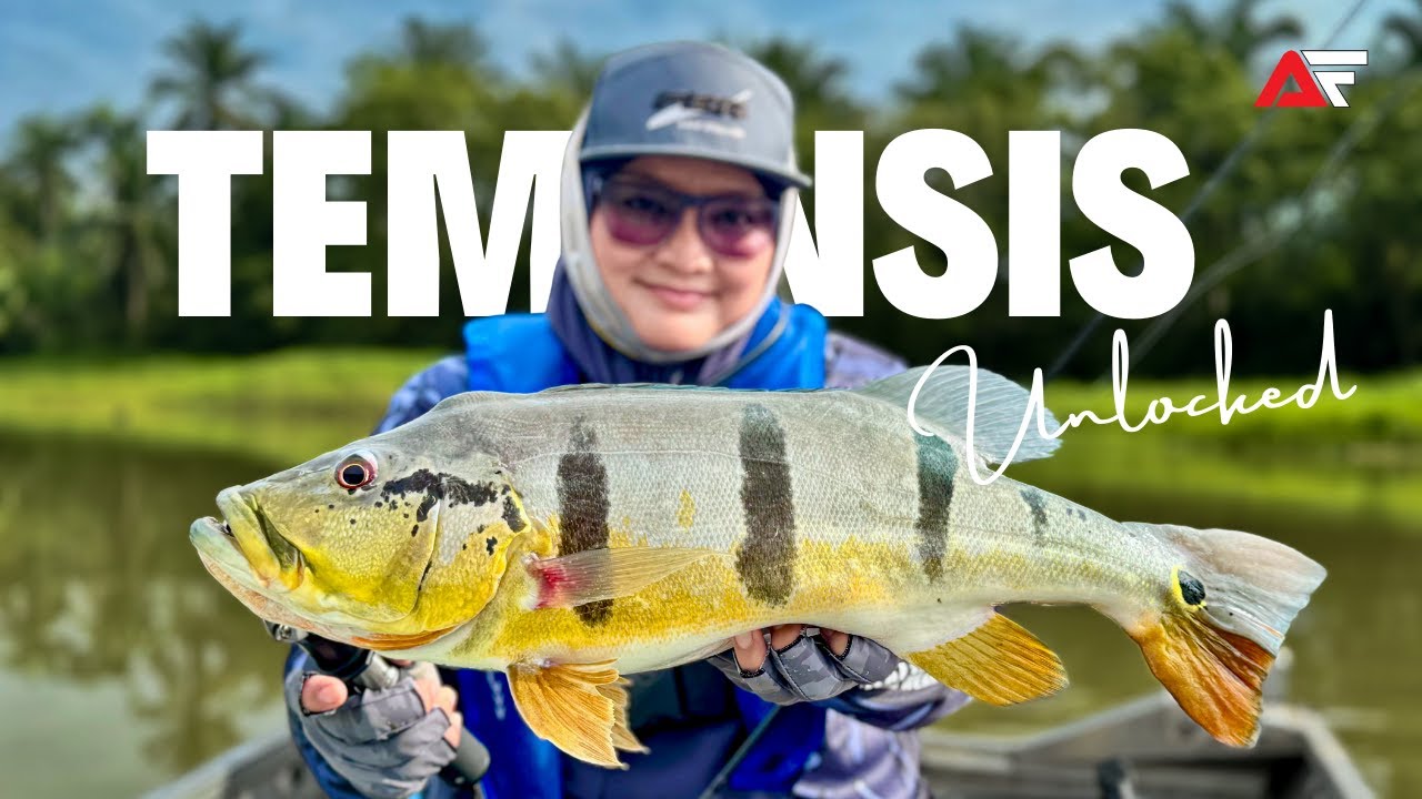 Lady Angler VS Ariff Fishing | Misi Lesen Temensis