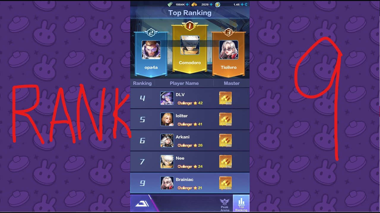 Pancake protectors - S1 Arena Guide