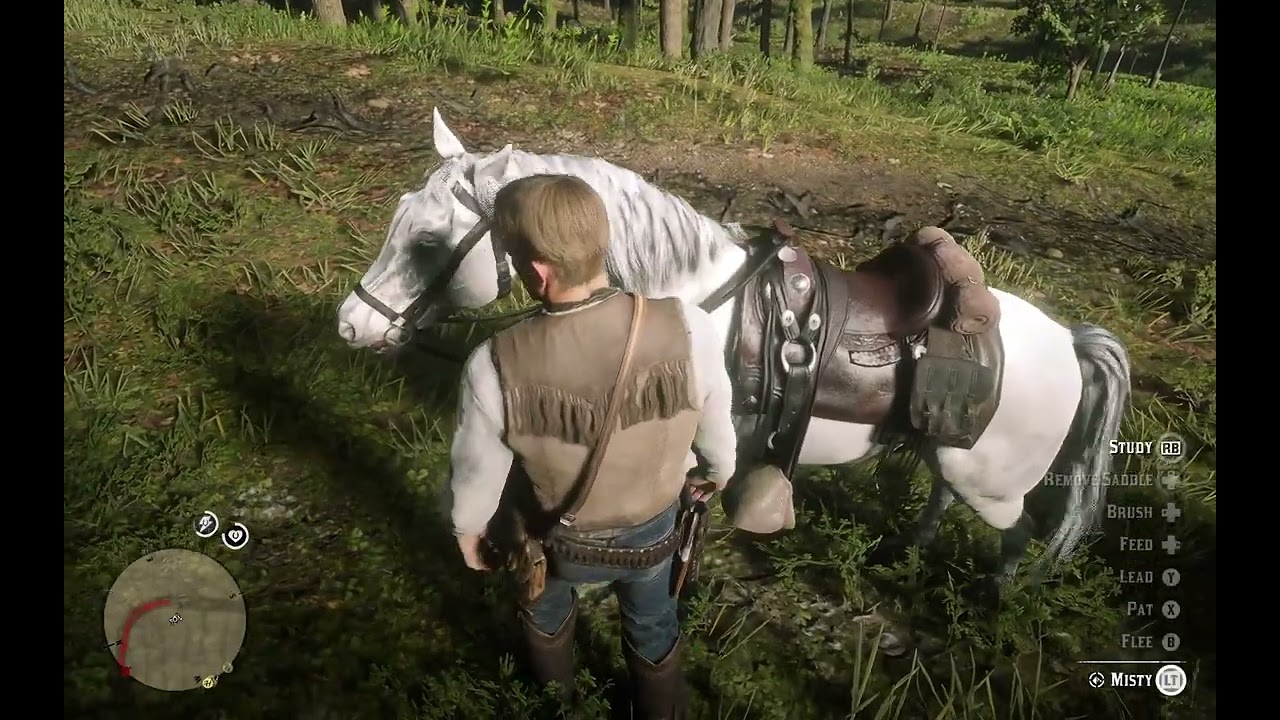 Quest For The Legend Of The East, Fifth Day... | Red Dead Redemption 2