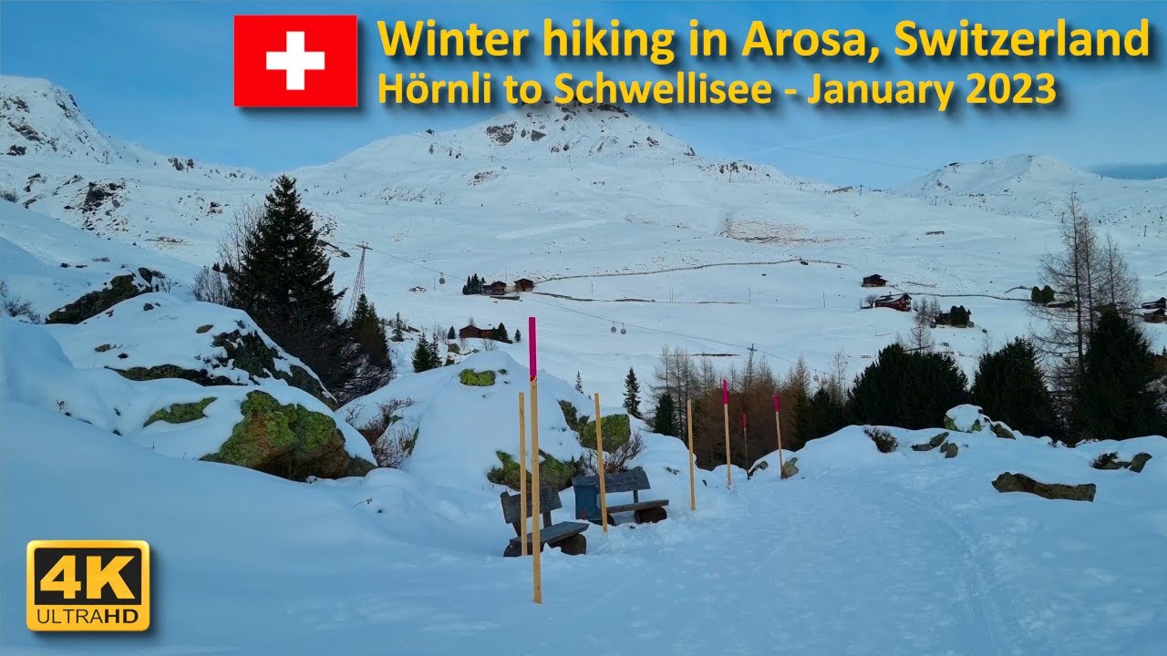 Winter Hiking in Arosa, Switzerland: Hiking from H&ouml;rnli to Schwellisee | January 2023【4K】