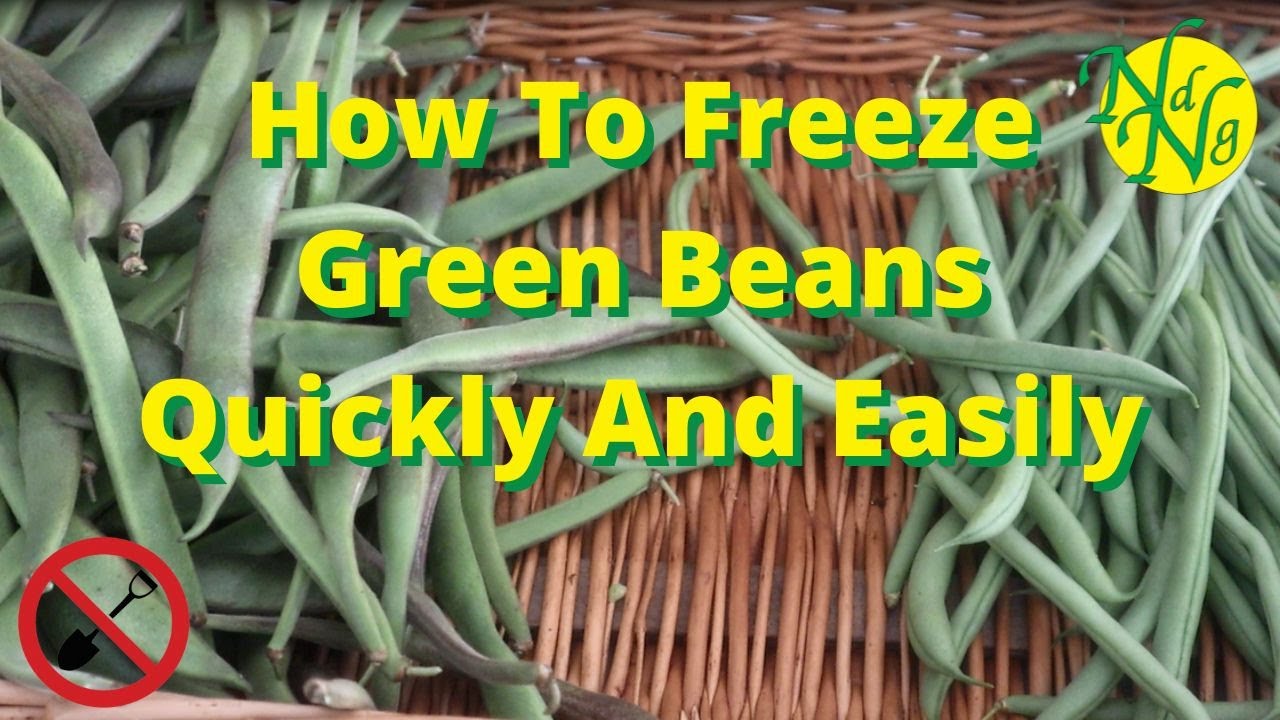 How To Freeze Green Beans Quickly And Easily