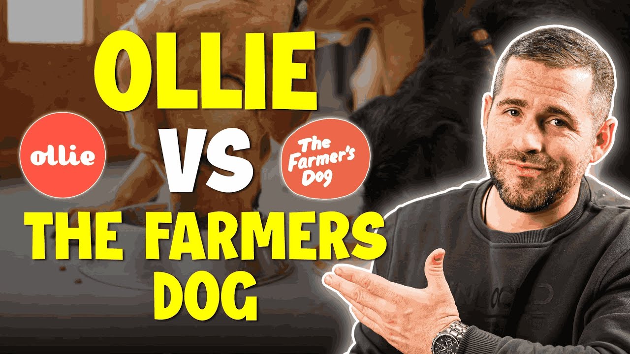 Ollie Vs The Farmers Dog Review:  Best Pet Dog Food in 2026?