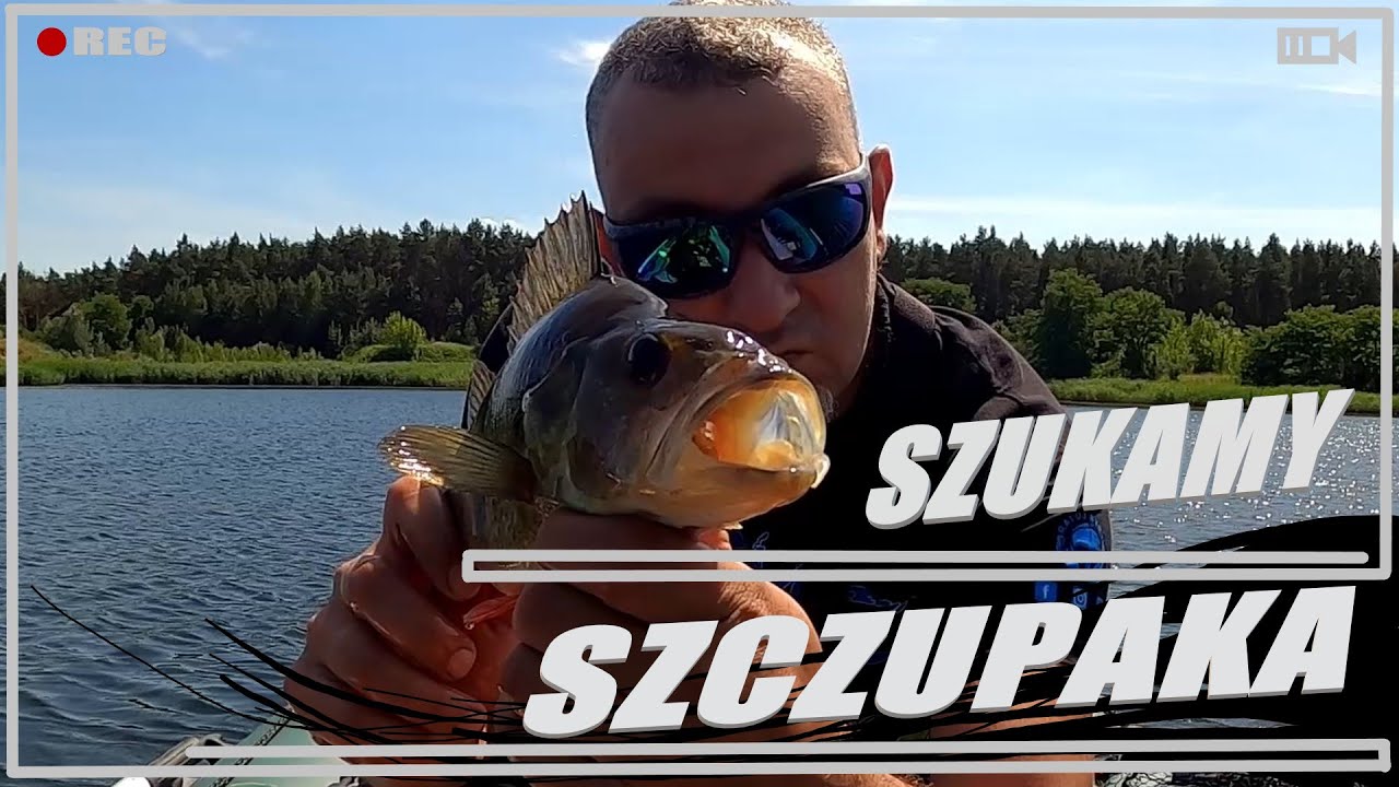 DAIWA CALDIA / LEKKI SPINING / OKON I SZCZUPAK NA LEKKO