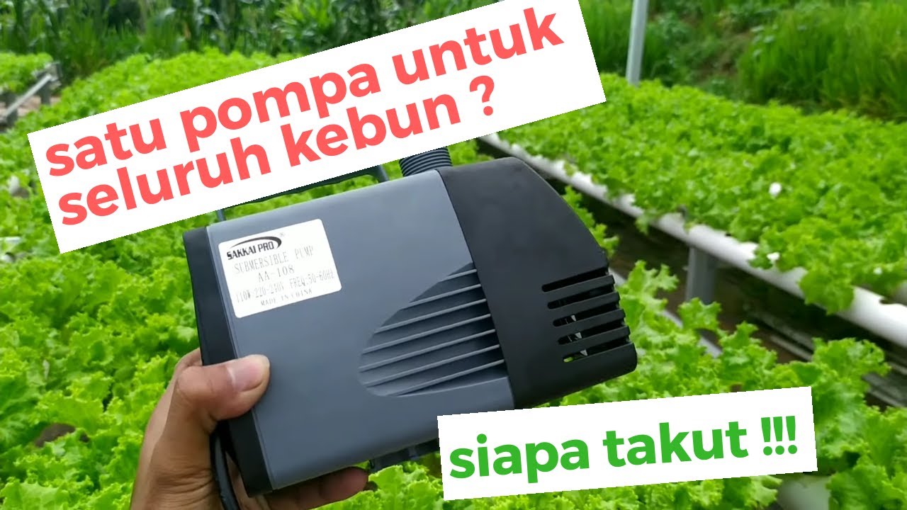Pompa celup untuk kebun Hidroponik