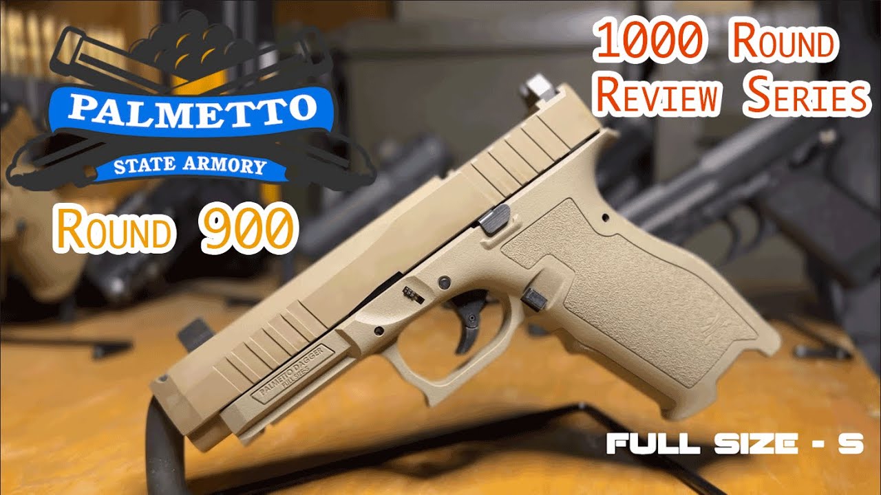Palmetto State Armory Dagger Full-Size-S | 1,000 Round Review Series | Round 900 Update!