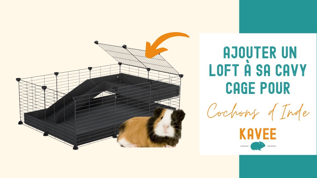 [FR] TUTO : Ajouter un loft à sa cavy cage KAVEE