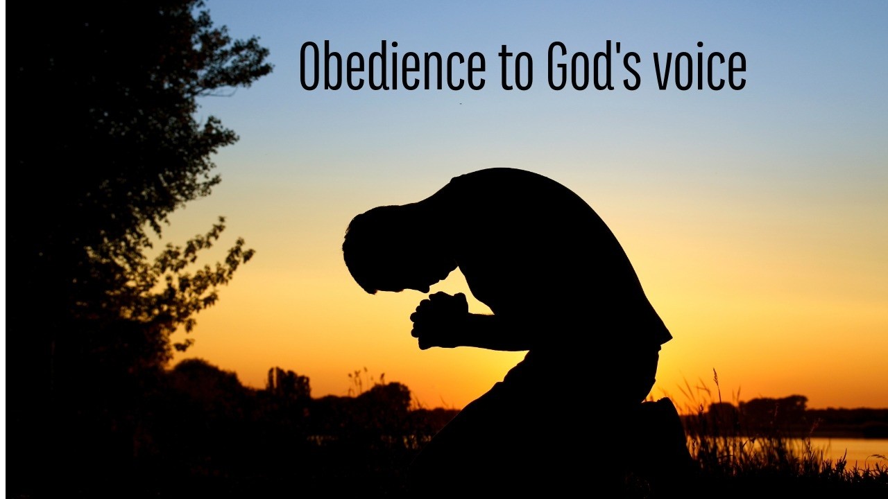 Obedience to God's voice | Sr. Fatima Vaz