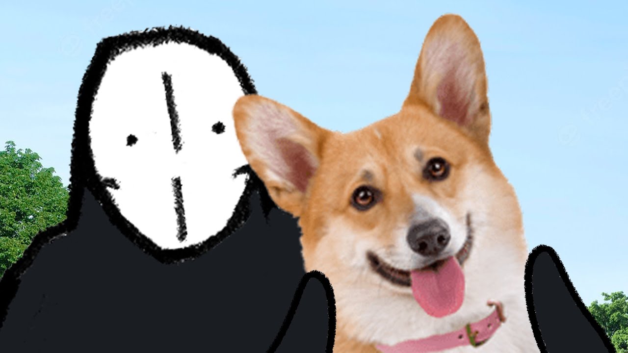 perros