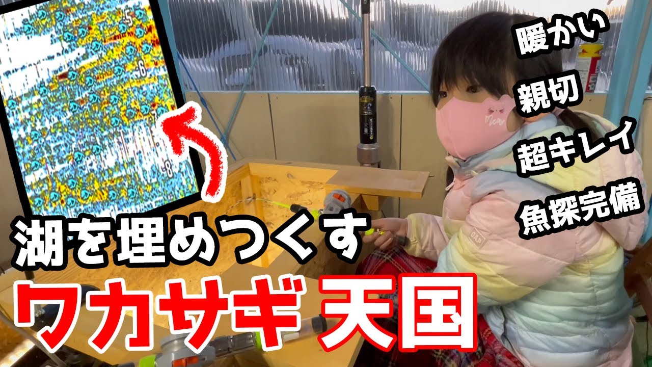 【ワカサギ】ドーム船ナイターで爆釣！キレイ・手ぶらで行けるワカサギ釣り【相模湖】