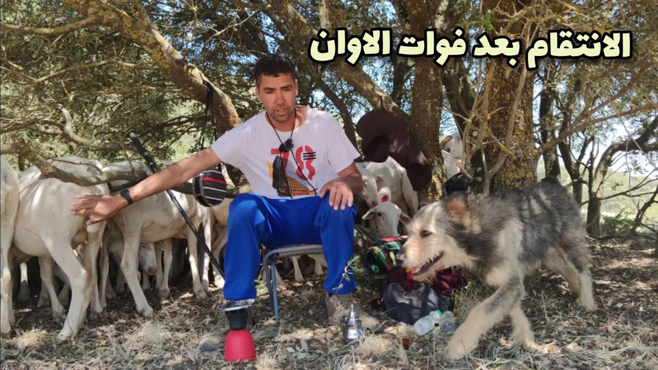 حلقة 26: الانتقام بعد فوات الاوان.... قصة تستحق المشاهدة..؟