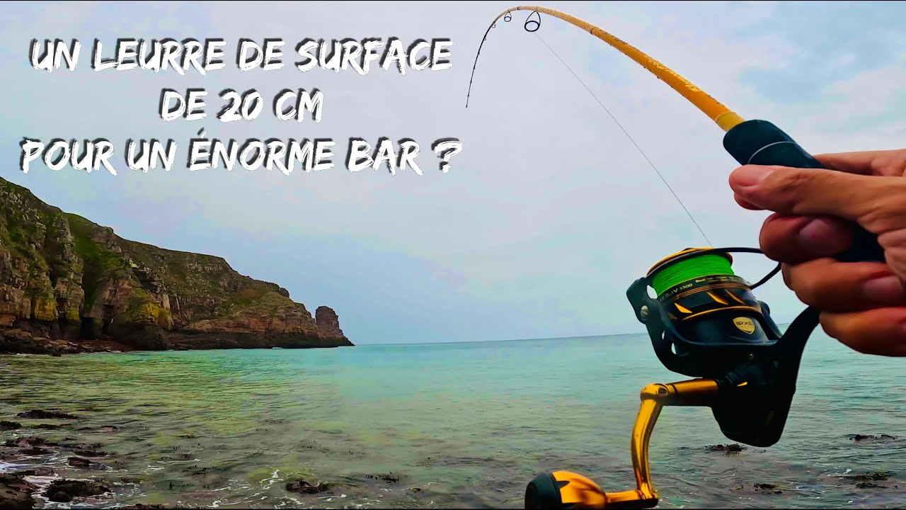 Un GROS LEURRE de SURFACE de 20 CM pour un &Eacute;NORME BAR ??