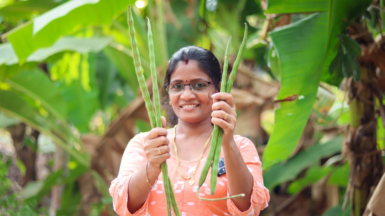 മുരിങ്ങാക്കായ വച്ച് ആരും ചിന്തിക്കാത്ത റെസിപ്പി ഉണ്ടാക്കിയപ്പോൾ💯😵 | Drumstick | Muringakka Thoran