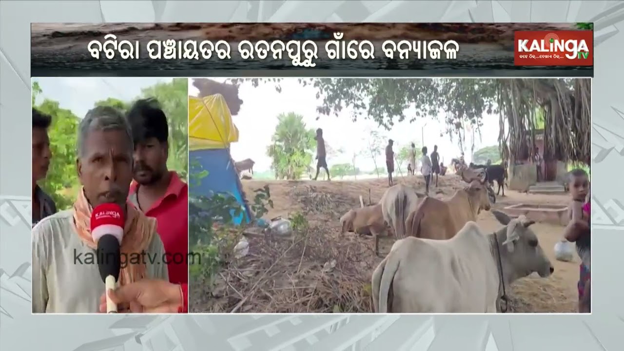 Flood Fury in Kendrapara: Residents Struggle Amid Rising Waters | Kalinga TV