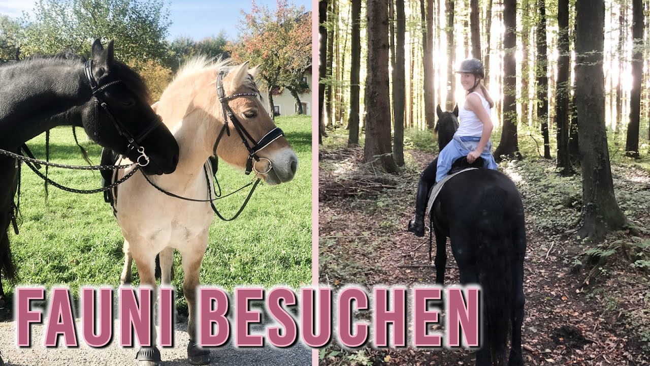 Wir besuchen FAUNI & NIKI 💗 Pilgrim auf Reisen | VLOG 27 | Pilsali