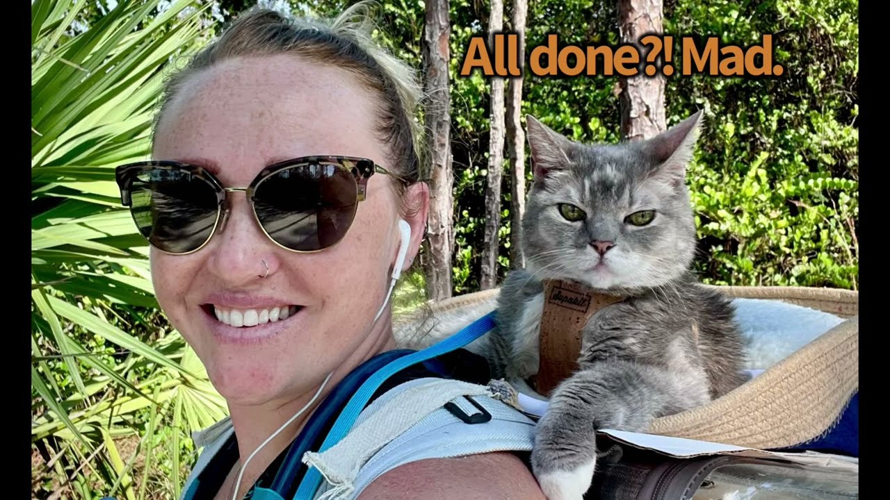 Come with us for Billi’s adventure! My 15 year old cat loves nature walks 😸| BilliSpeaks