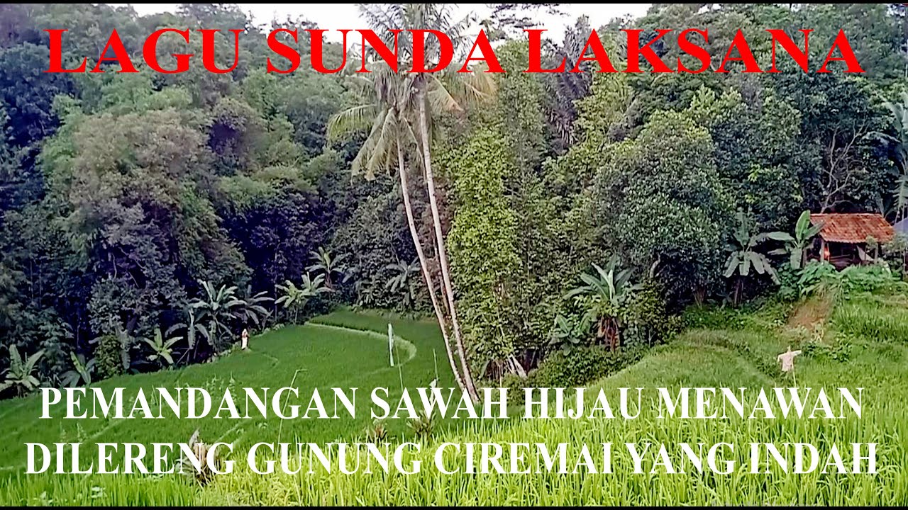 LAGU SUNDA LAKSANA PEMANDANGAN SAWAH MENGHIJAU MENAWAN DILERENG GUNUNG CIREMAI YANG INDAH DAN SEJUK