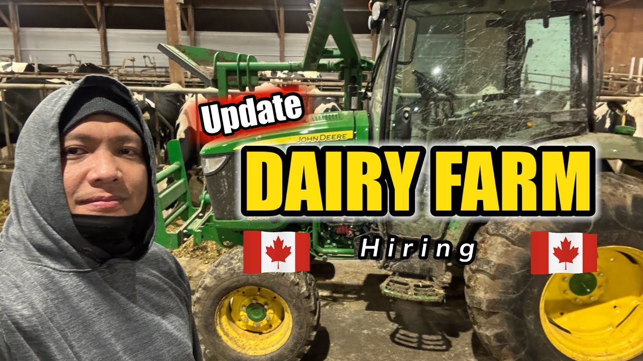 DAIRY FARM HIRING UPDATE #canadalife  #canada  #dairyfarm  #buhaycanada 