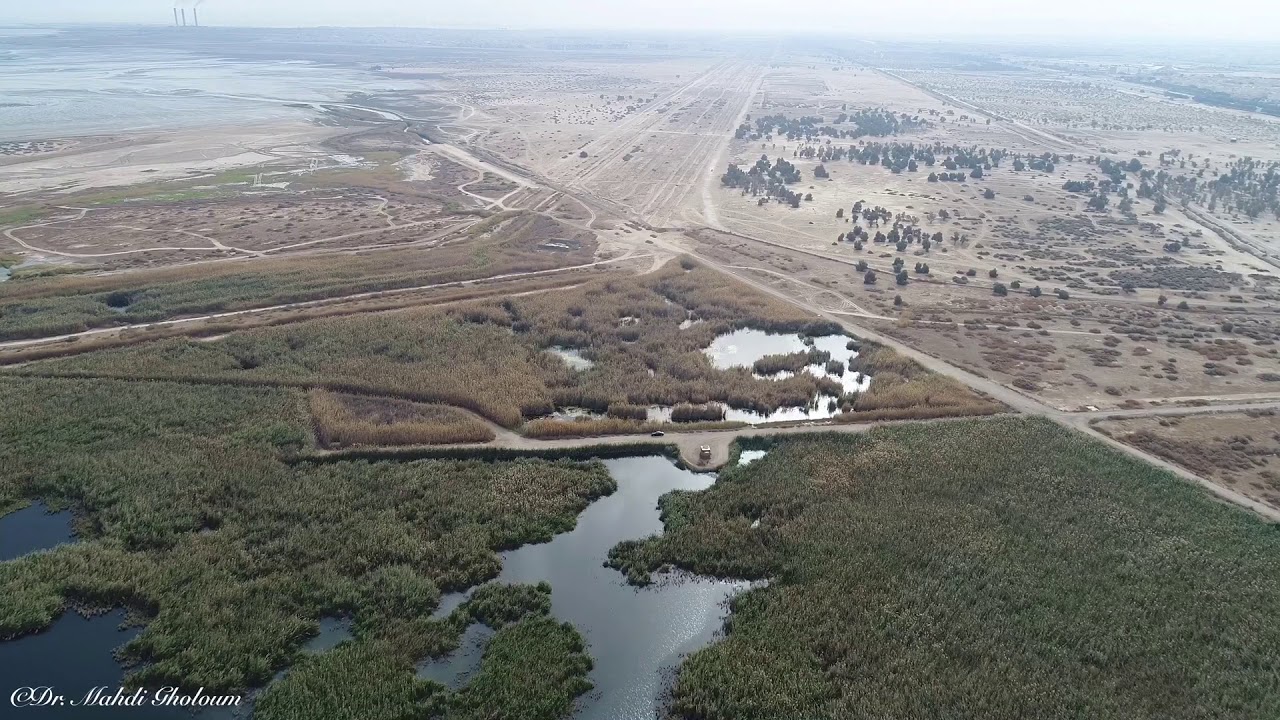 Jahra Pools Nature Reserve محمية الجهراء الطبيعية