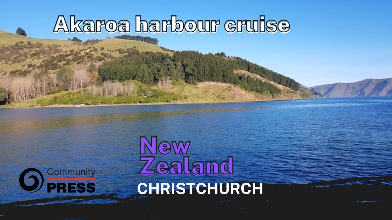 Akaroa Harbour Wildlife Cruise: Scenic Views and Rich History