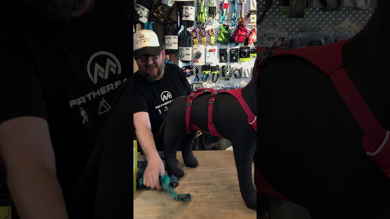 Ruffwear Flagline Harness