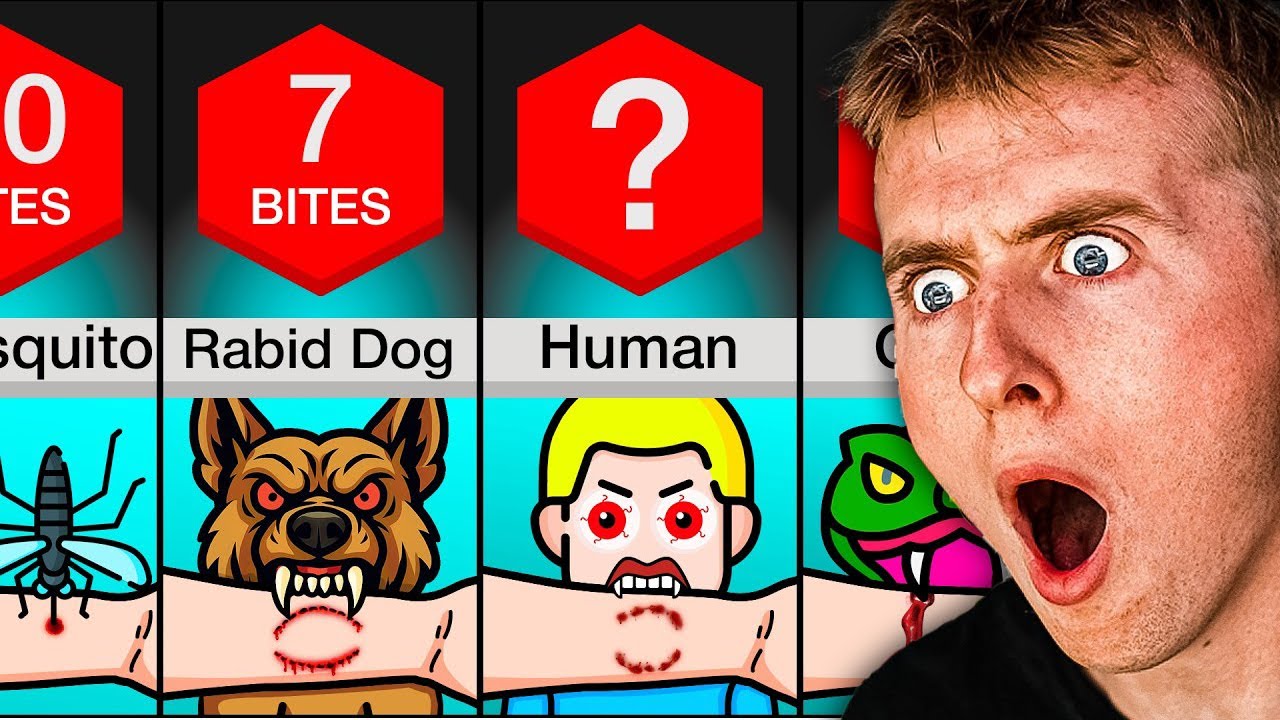 How Many BITES To Kill You?