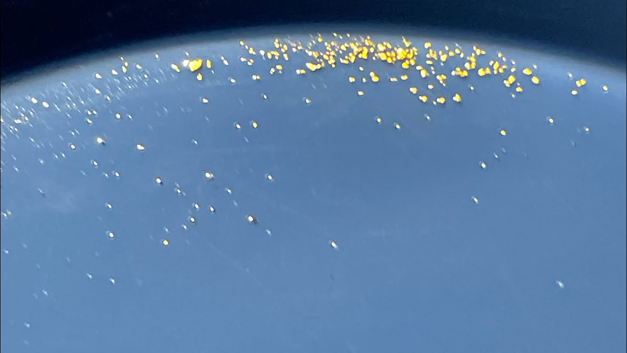 Prospecting for Placer Gold!! in Iowa￼!!#goldpanning #goldprospecting