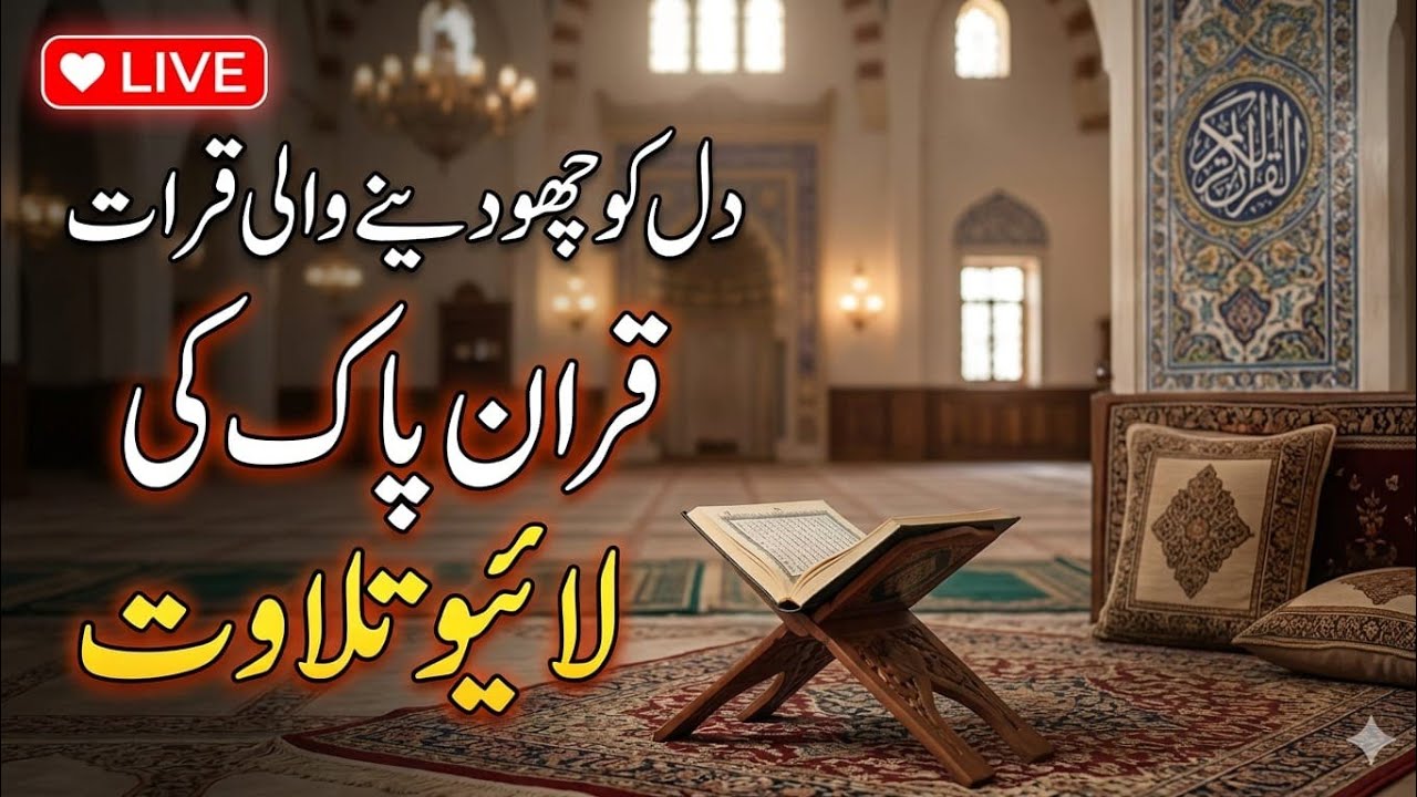 Powerful: Beautiful Quran Recitation LIVE | Feel the Peace in Your Heart #Ramadan2026