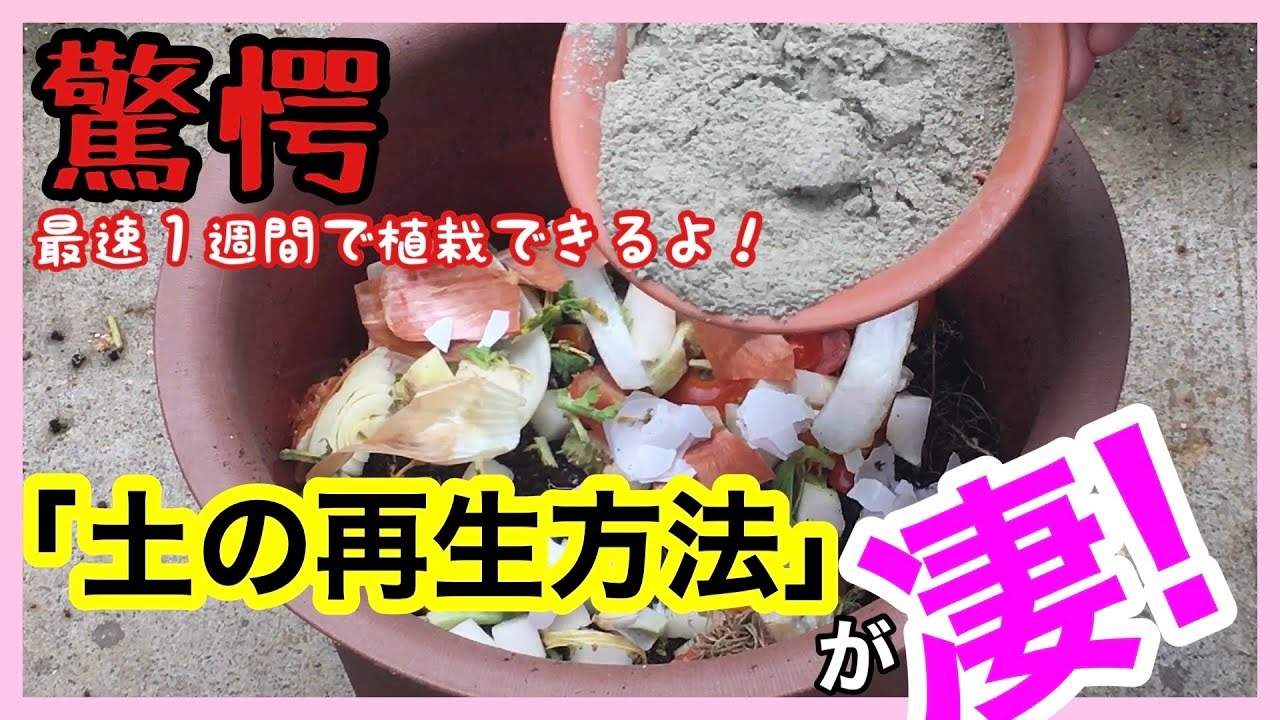 【土の再生】こんな再生方法見たことない？！ / 簡単で無駄がなく、たった1週間で植栽できます / 微生物資材「カルスNC-R」/ 秋の植栽を前に土を再生させちゃいましょう♫【ガーデニング】