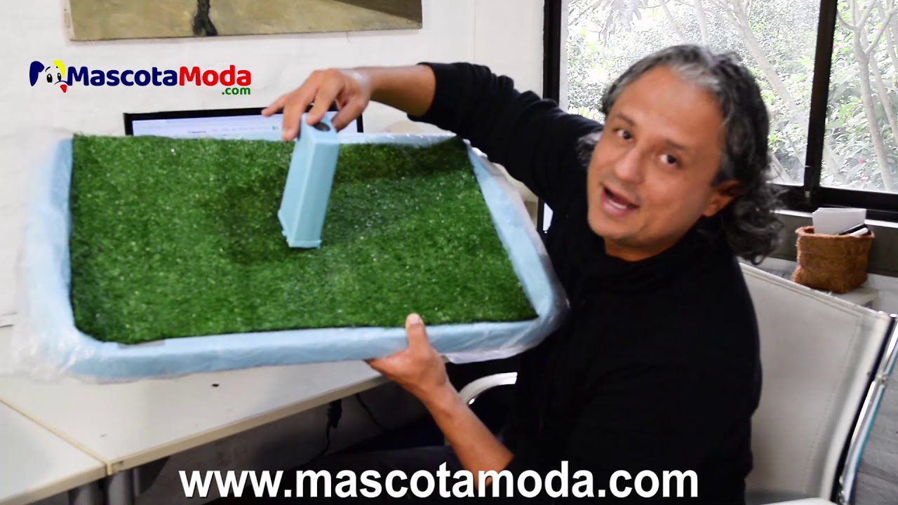 Potty Patch, bandejas sanitarias para mascotas, c&eacute;sped artificial o ba&ntilde;o para perros y cachorros