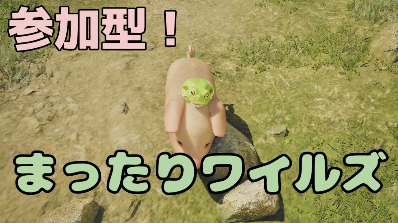 【モンハンワイルズ】カジしゃんとまったり🐸参加OK！