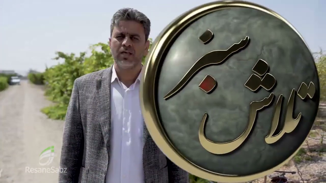 باغ مادری انگور موندراپ در خراسان رضوی ارغا  قسمت سوم - انگور کاران پیشرو