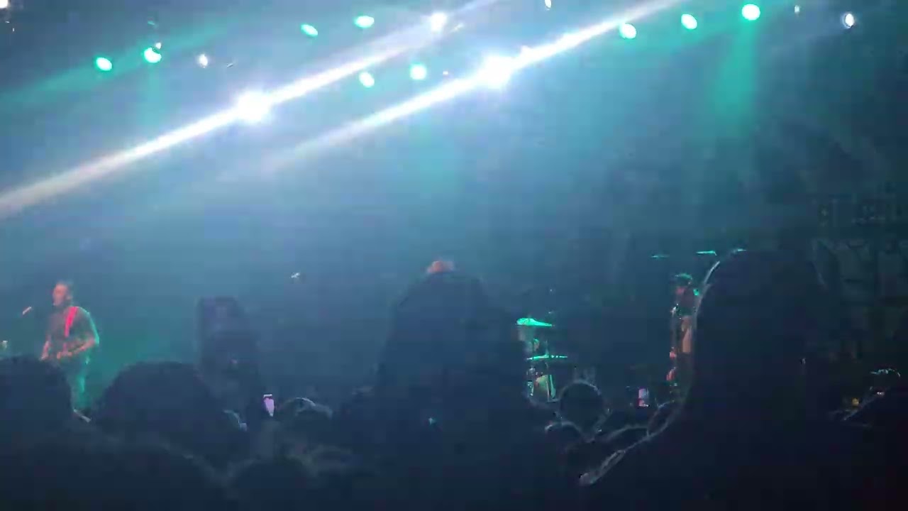 Honestly- Cartel