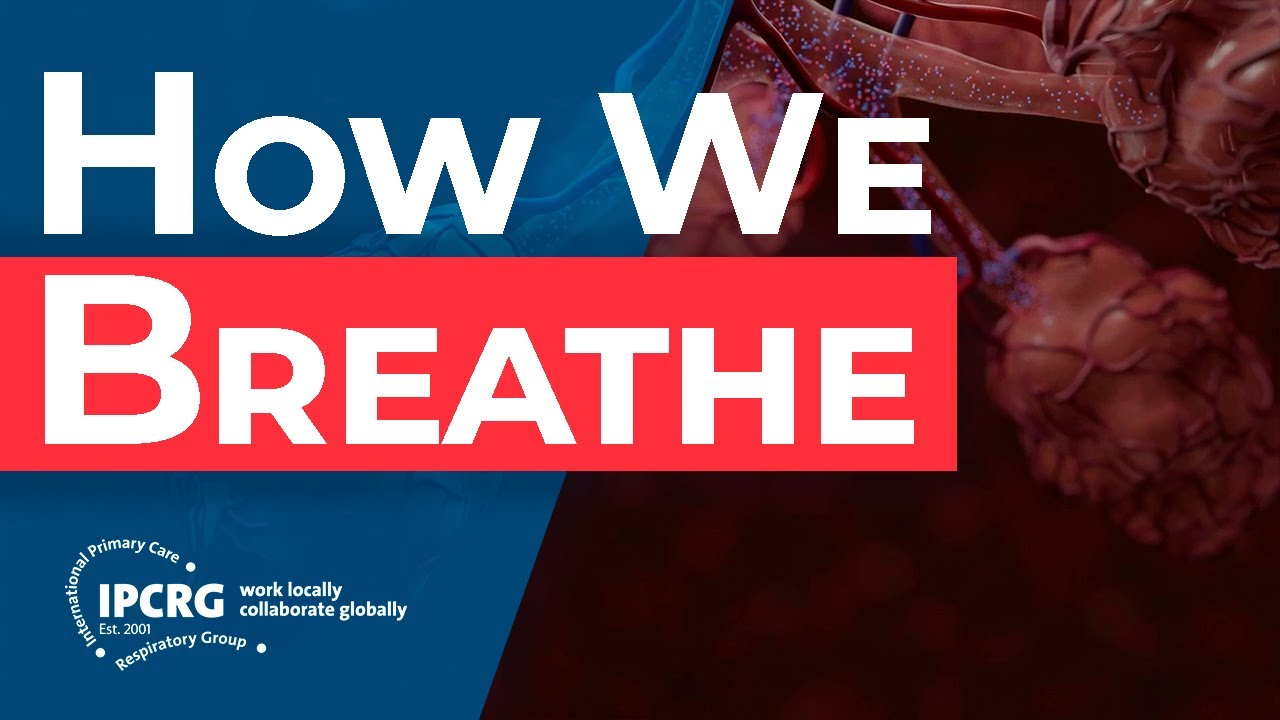 IPCRG How We Breathe