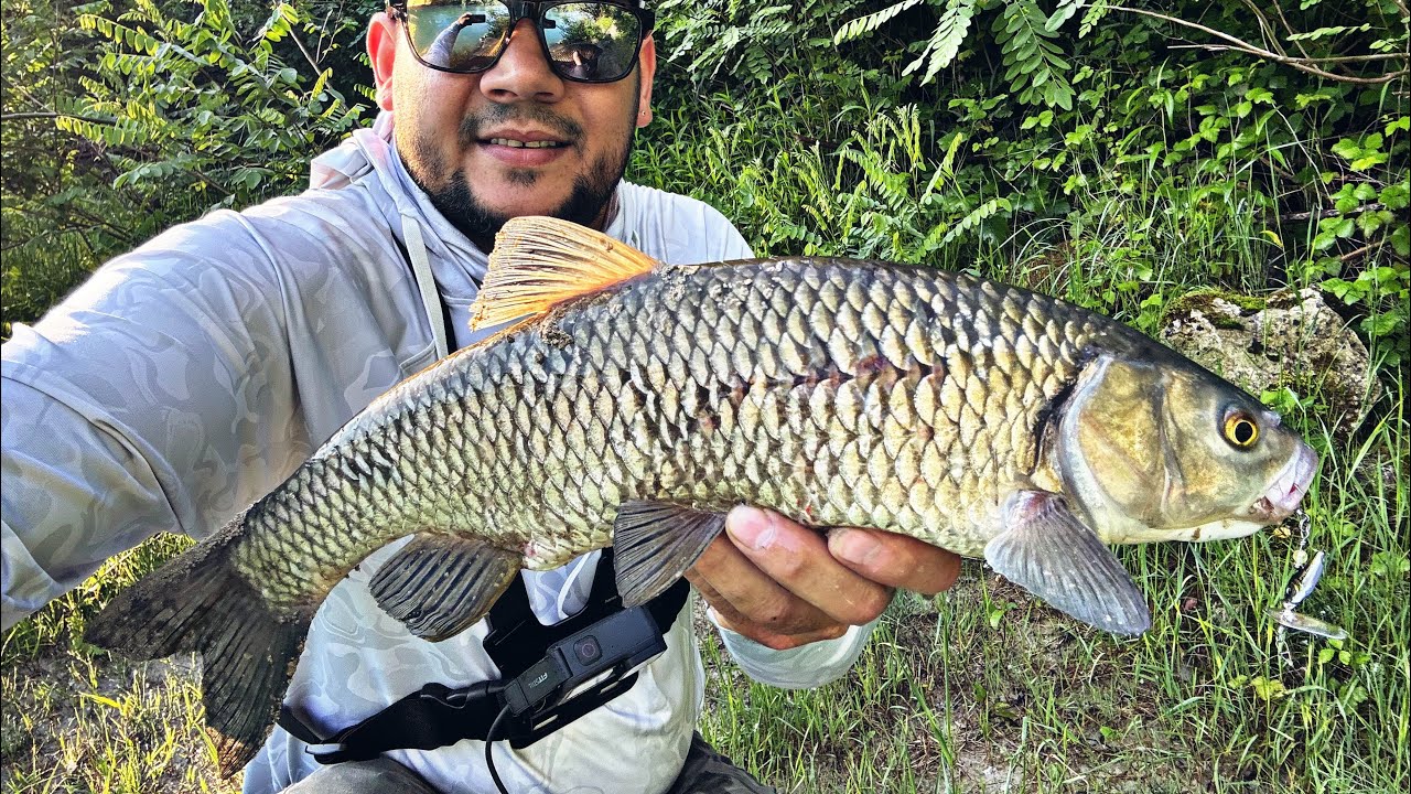 🎣 Pescuit pe rau la clean 🎣 Am prins clean mare la rotativa 🎣 Partea II 🎣pescuit la scrumbie🎣