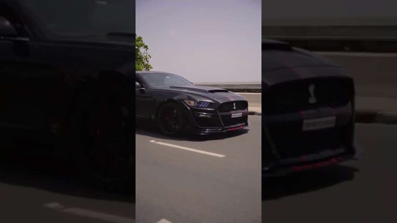 MUSTANG LOVER'S #carlover #shorts #modified #mustang #MustangModified