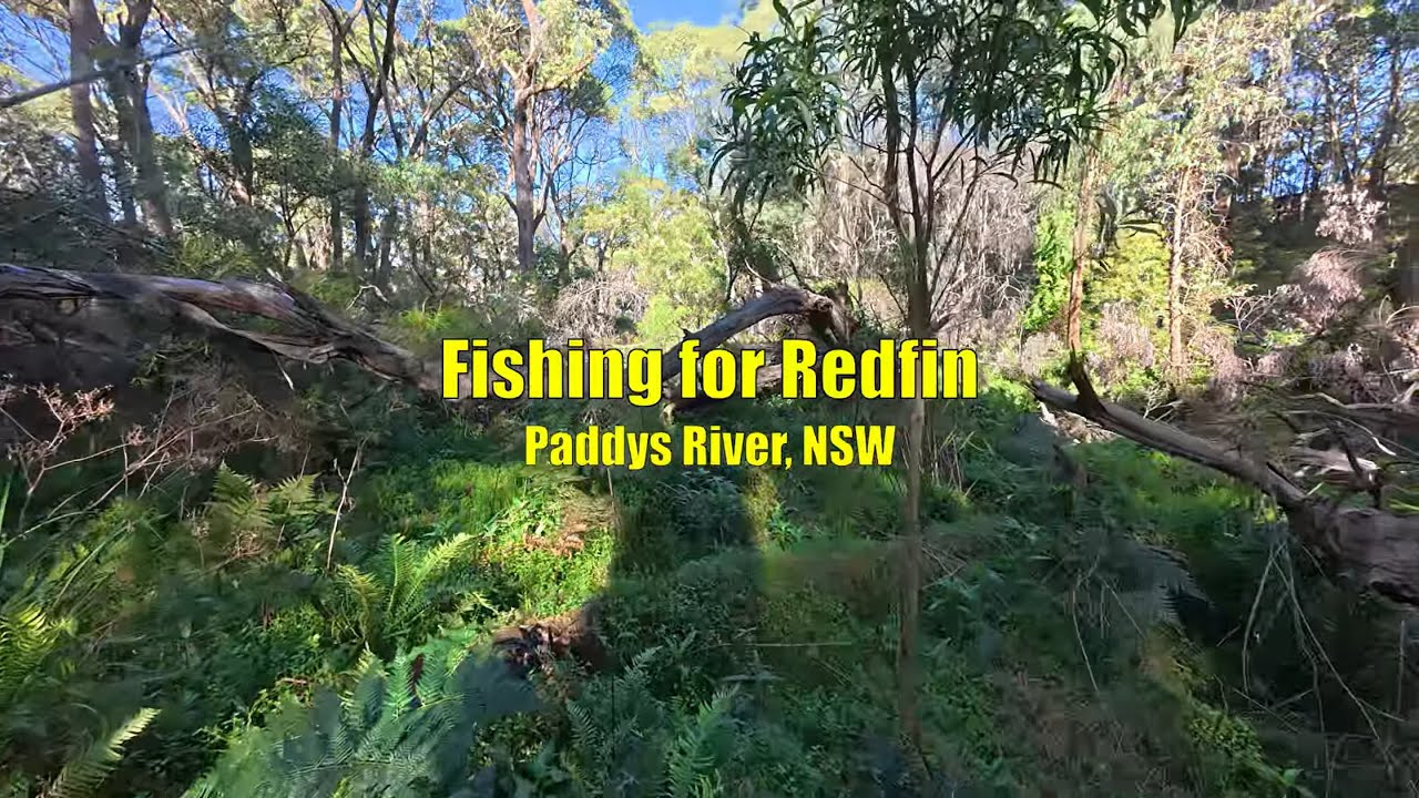 Fishing for Redfin - Paddys River, NSW