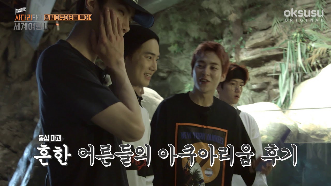 [엑사세2 시우민 CUT PART8] 계란한판 맞냐구요 이렇게 쏘 큩한데