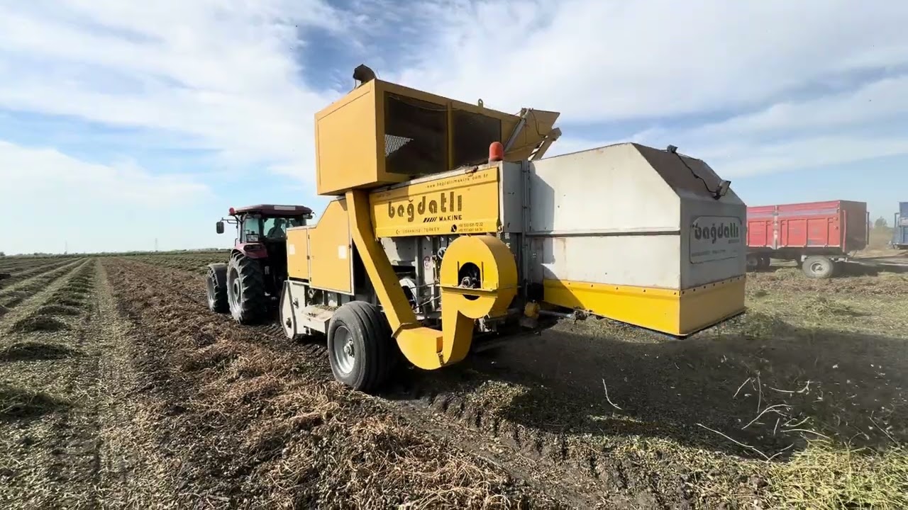 Bağdatlı makine yer fıstığı hasat makinesi 2025 - Bagdatlı machine peanut harvester 2025