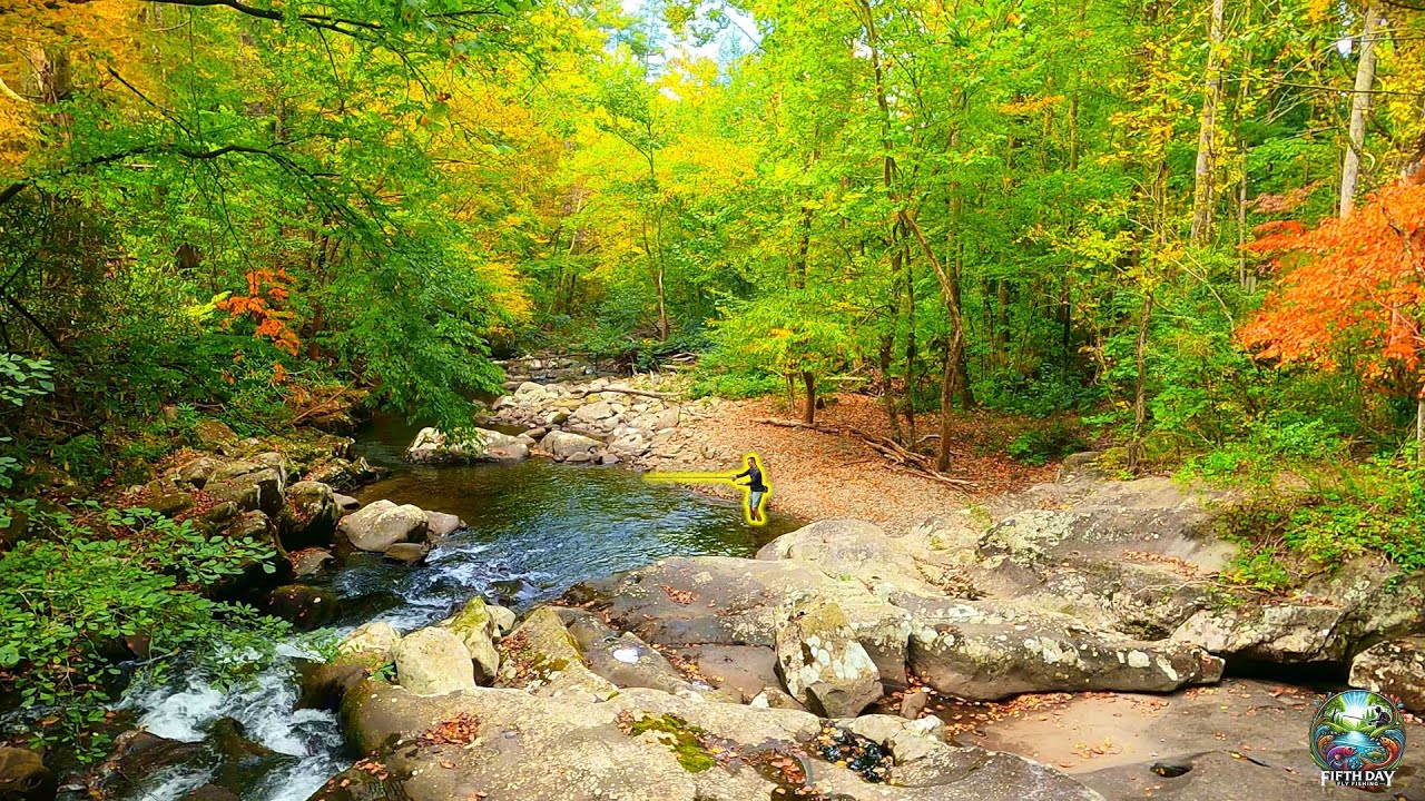Fly Fishing the Tellico's Delayed Harvest is UNREAL! | Trout Everywhere!