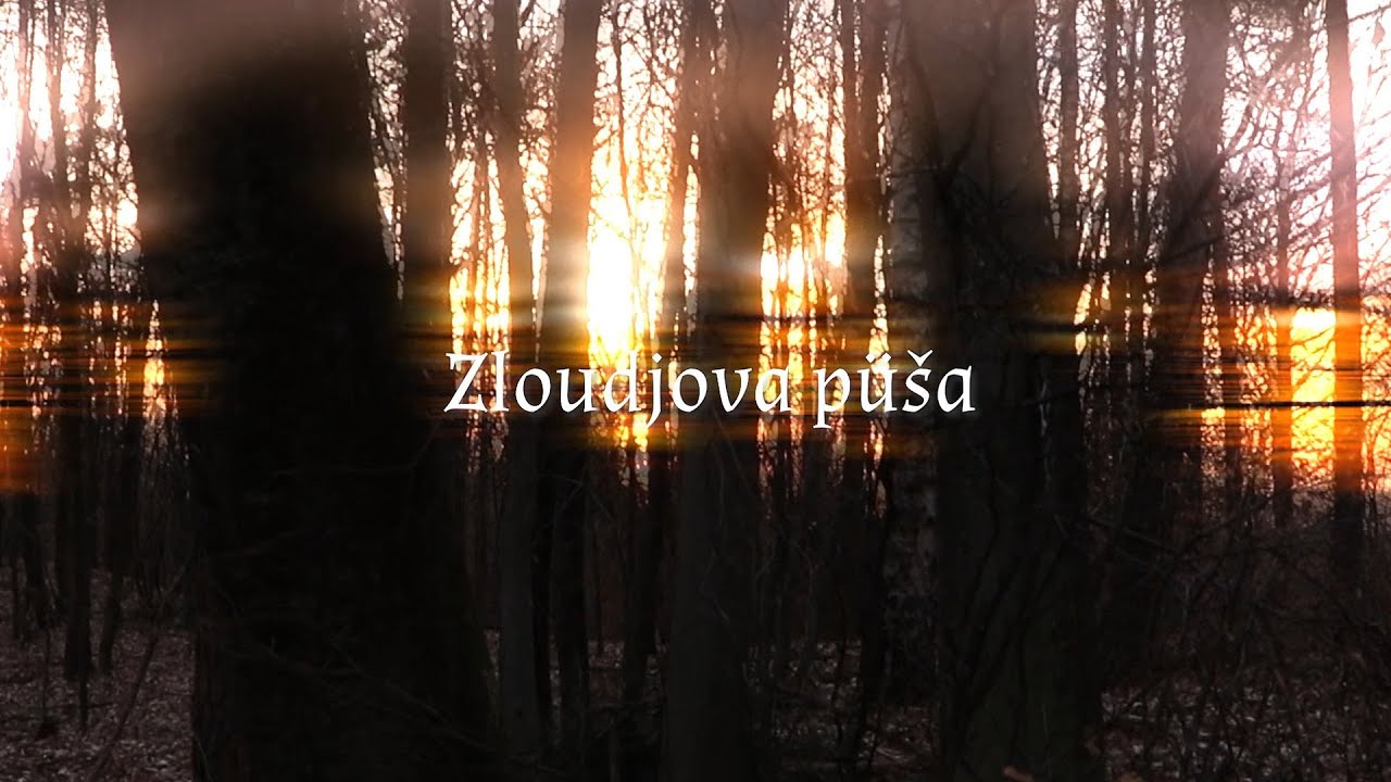 Zloudjova püša