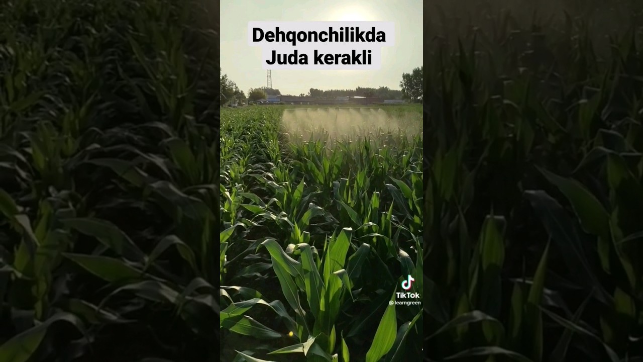 Dehqonchilik uchun kerakli ajoyib qulayliklar #shortvideo #technology #youtubeshorts #агрохолдинг #