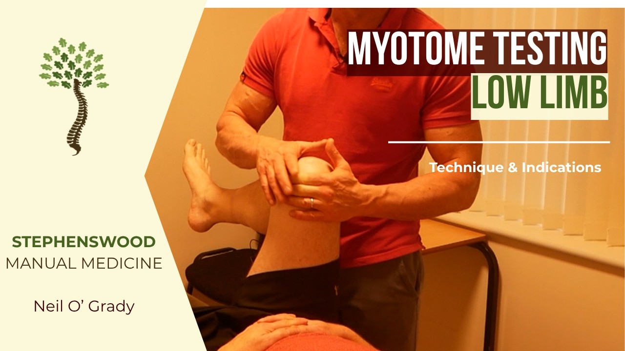 Low Limb Myotome Testing