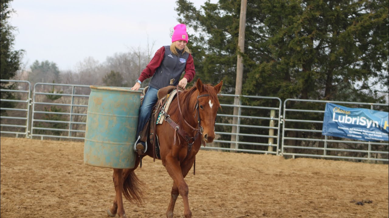 Jazzy Anna- 2021 AQHA Sorrel Mare heading to The Great American Trail Sale