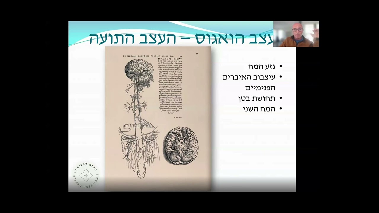 המערכת העצבית שתציל אותך, וזאת שתרגיע ותרפא אותך