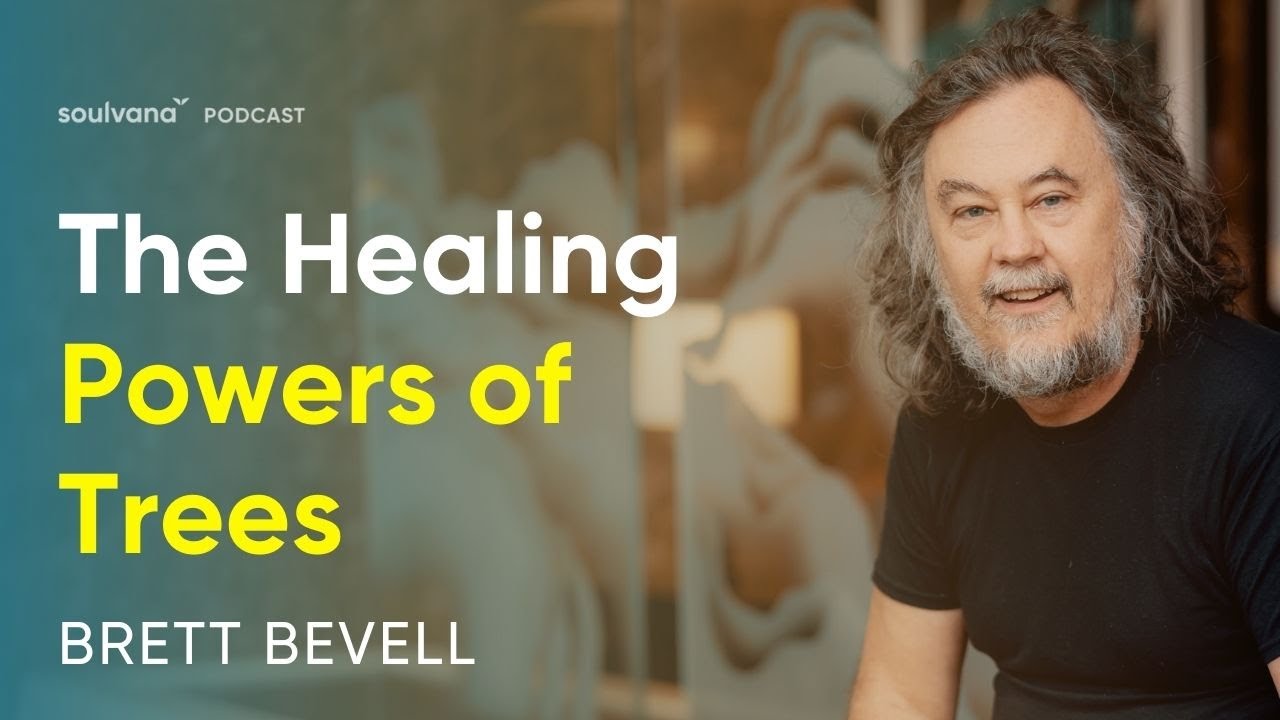 The Druid Tree Magic Technique: 3 Steps To Work With Trees For Healing