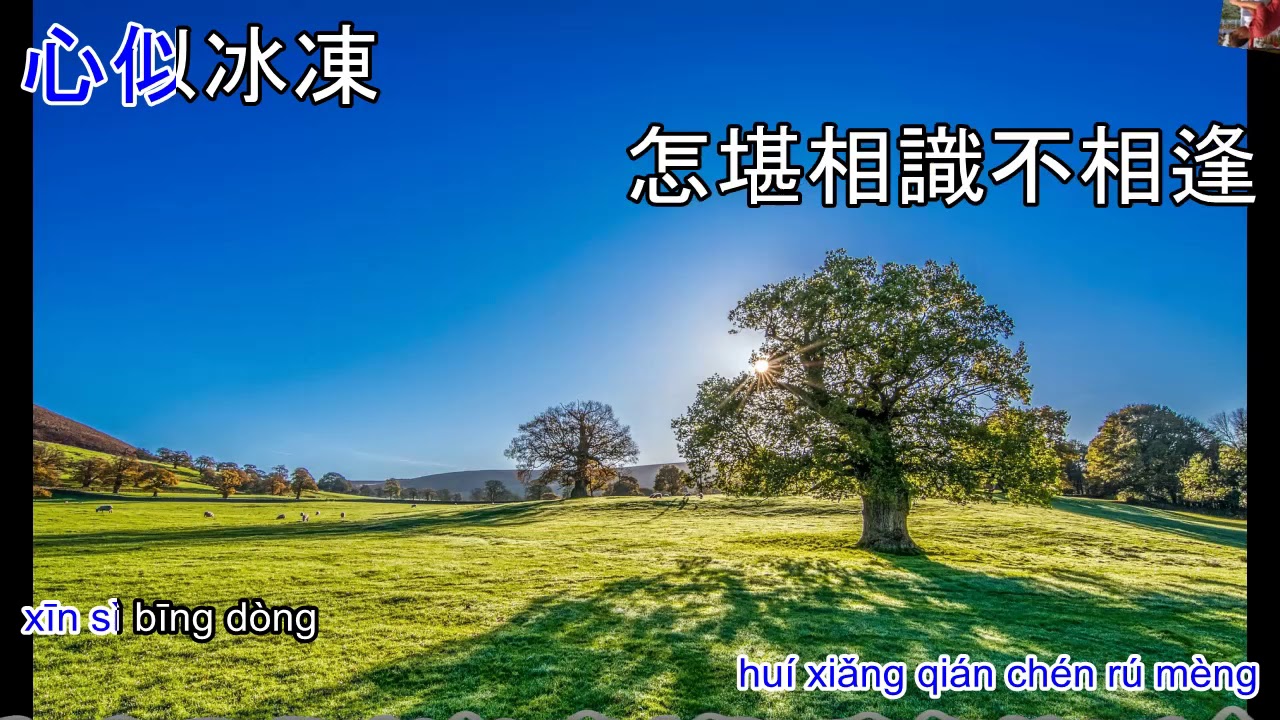 999朵玫瑰 999 Duo mei gui - karaoke