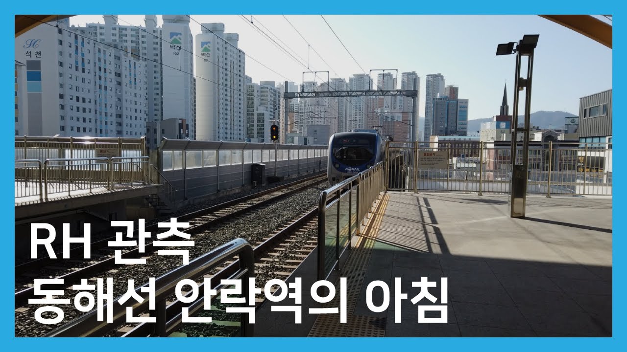 [러시아워 관찰] 동해선 안락역의 아침