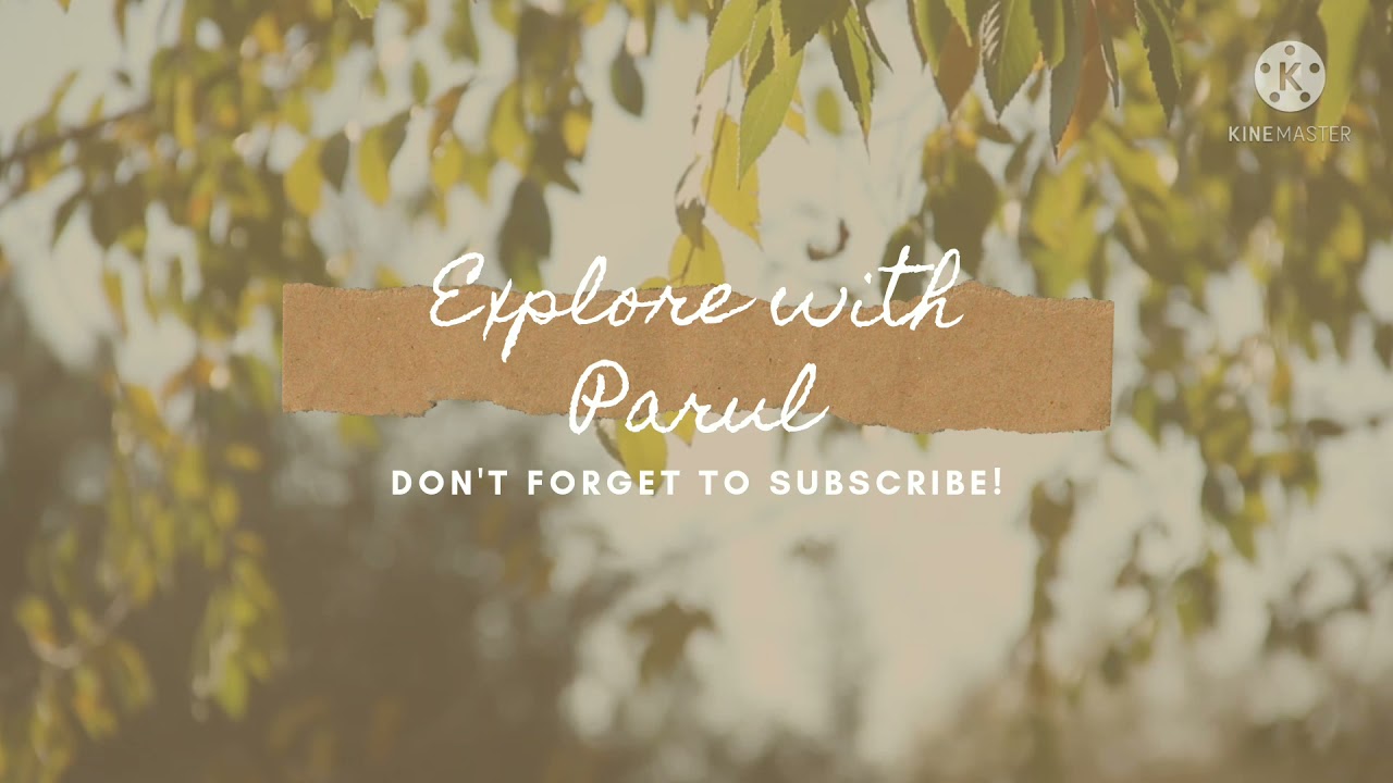 traditional Indian pot painting / explore with Parul 🌸
