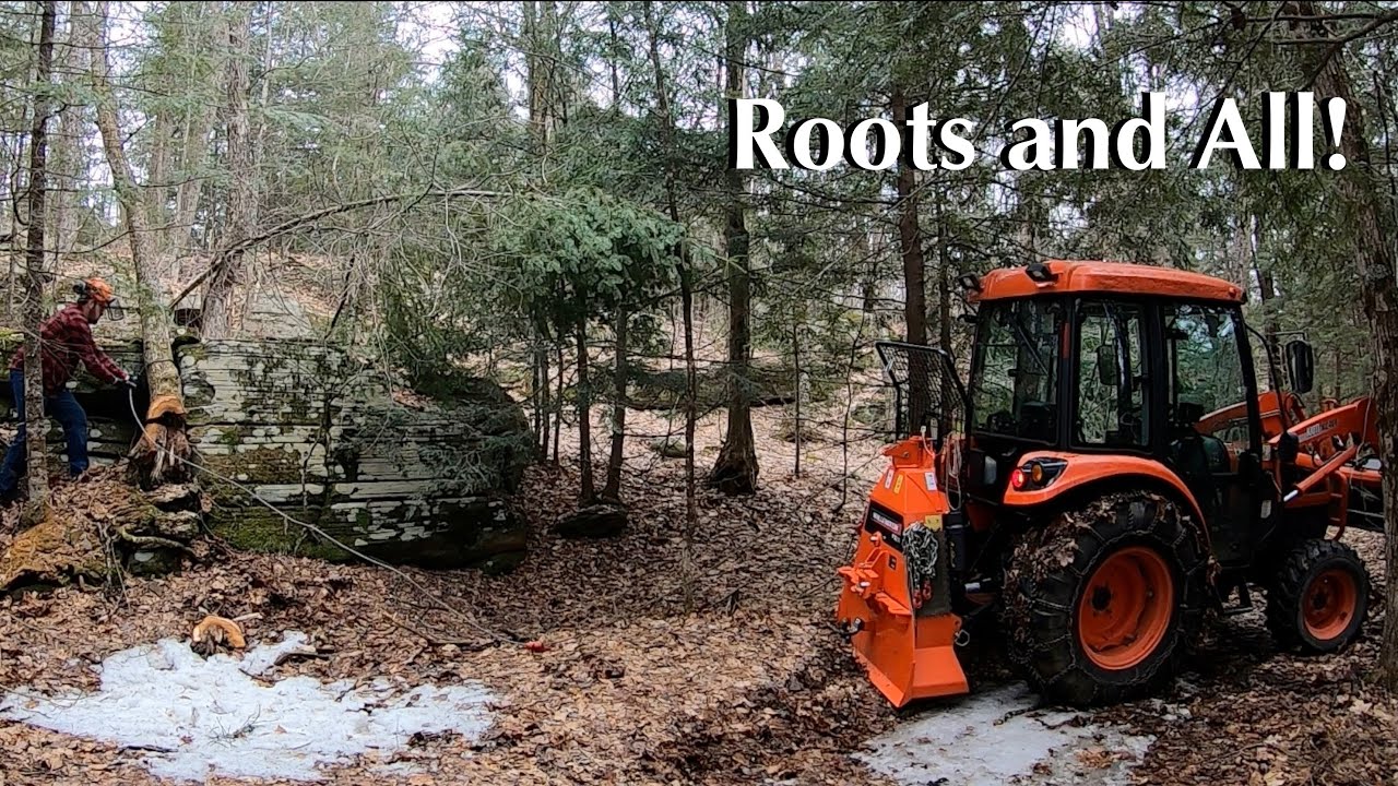 Taking You Down One Way or Another | Winching Trees Down with a Tractor Skidding Winch
